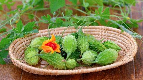 热瓜吃料网入口最新,揭秘热门话题背后的精彩内容