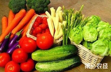 吃瓜网菜网红排行榜最新