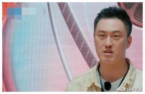 娱乐圈吃瓜爆料小说一口气看完